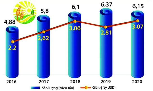 Nghịch lý thị trường xuất khẩu gạo Việt Nam - Ảnh 1.